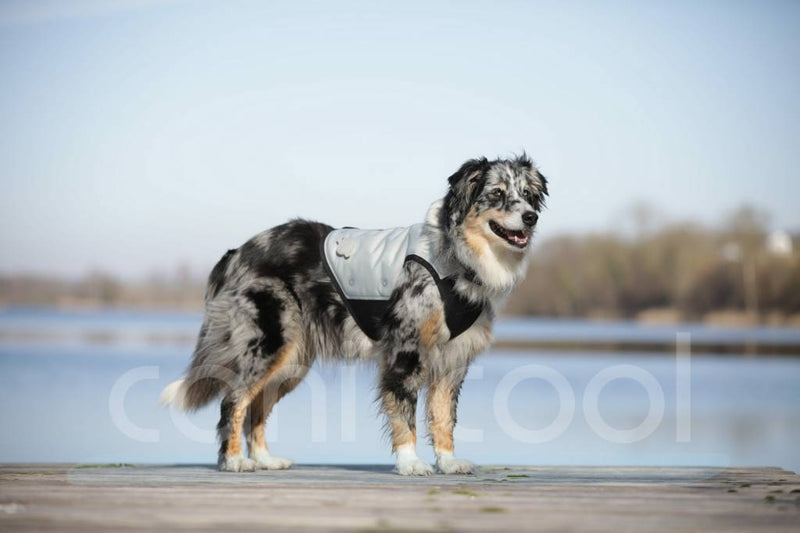 CANI.COOL Trockene Kühlweste für Hunde, kühlt bis zu 72 Std.