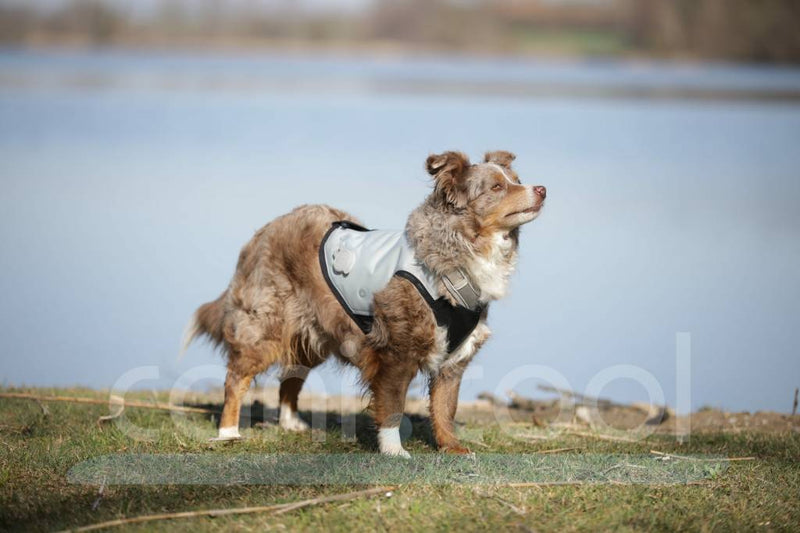 CANI.COOL Trockene Kühlweste für Hunde, kühlt bis zu 72 Std.